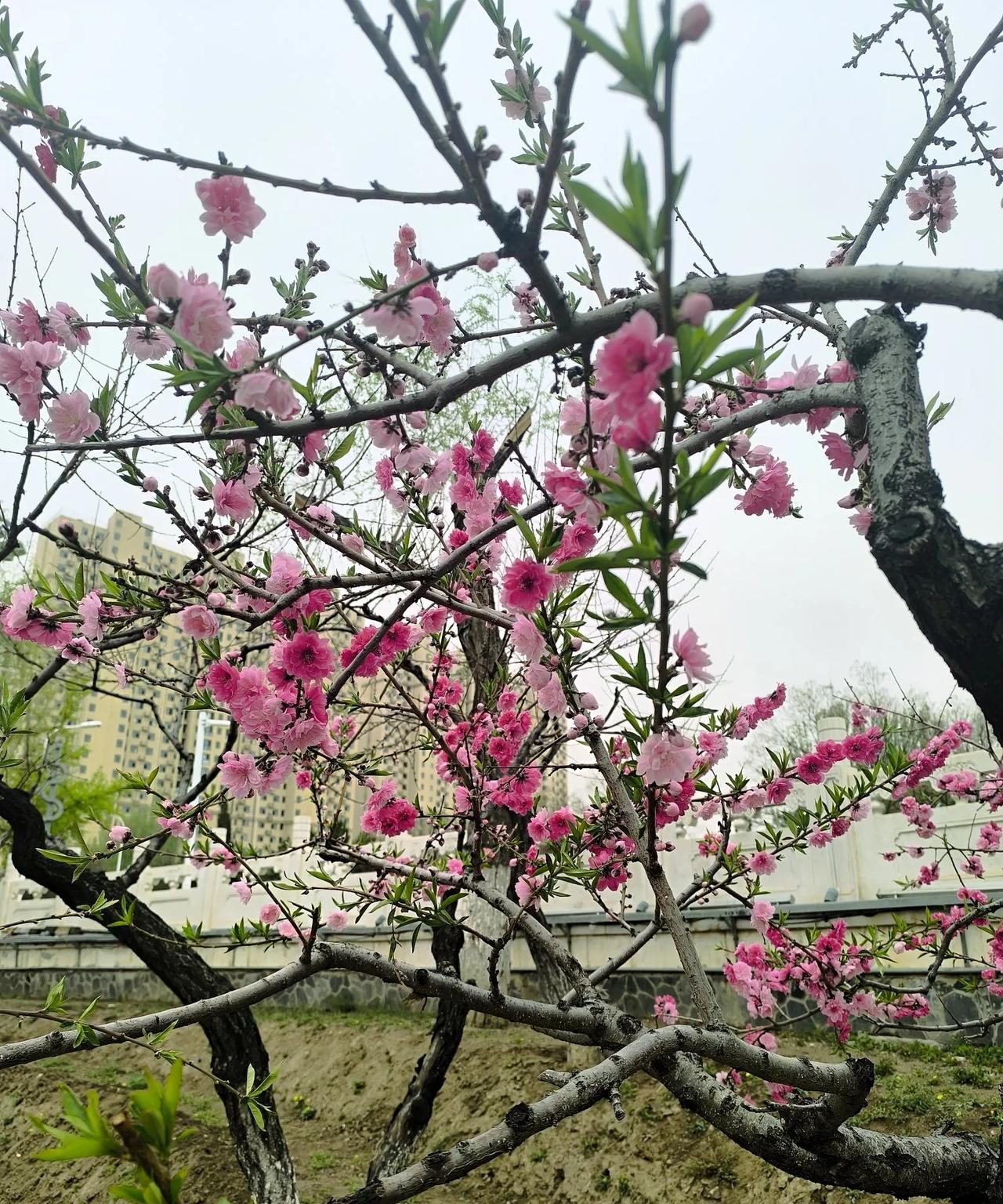 任何的出轨都是从闲聊开始的一开始先打招呼问候早安晚安呀接着聊日常聊