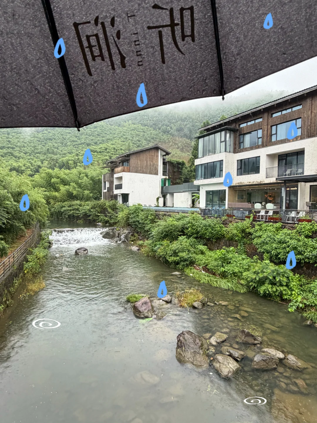 烟雨莫干山｜在山谷独享静谧慢旅🌧️🎋