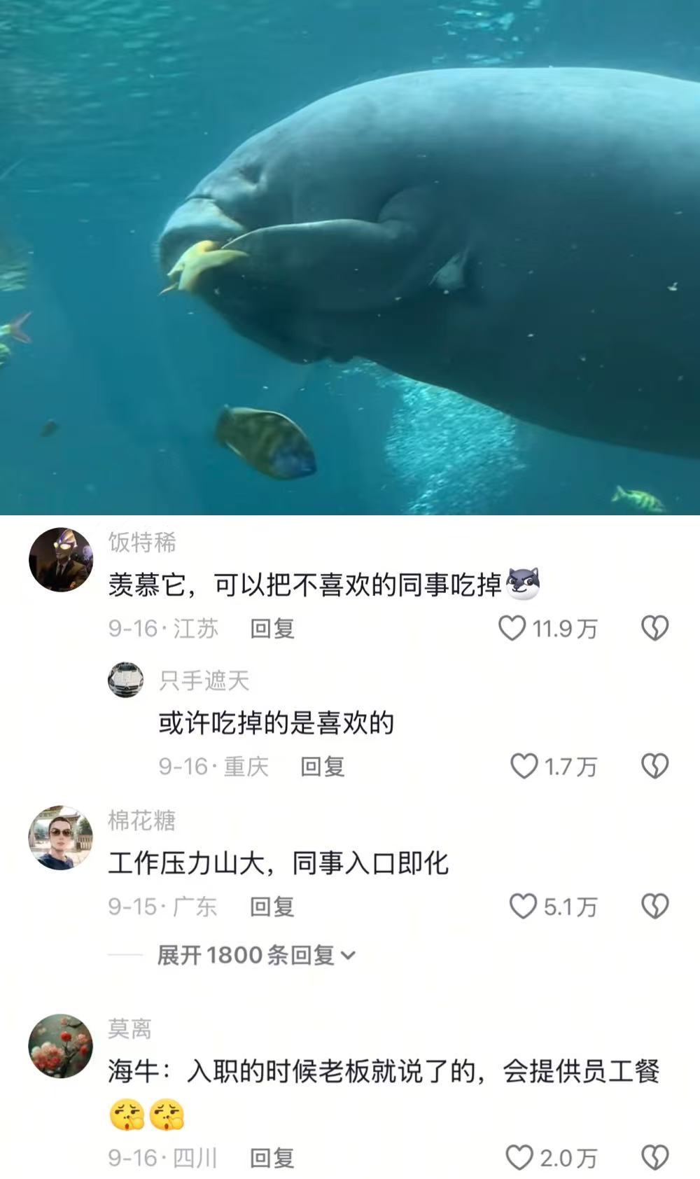 上班索然无味，同事金黄酥脆哈哈哈哈哈哈哈​​​