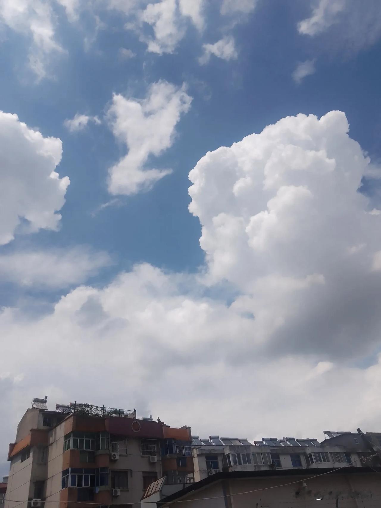 年轻时有次突发奇想，辞工回老家创业：养兔子。激情满满地打道回府，准备在家乡干出一