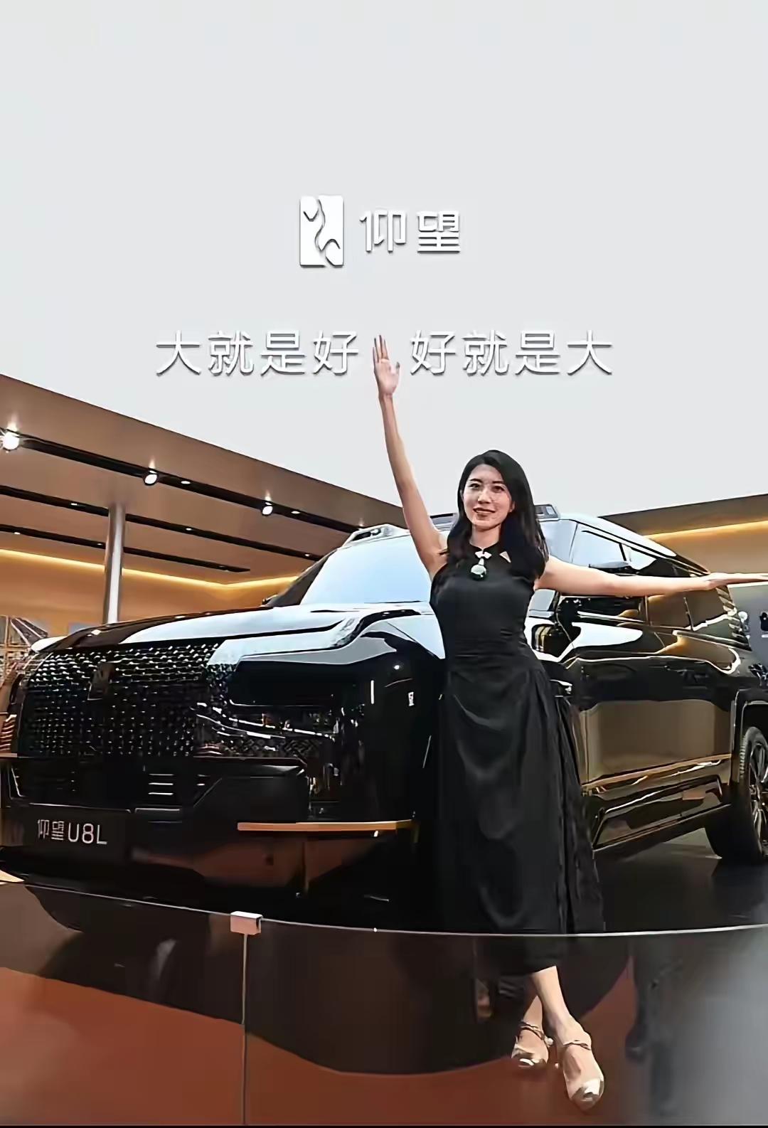 高人预测，中国国产汽车未来可能只剩6家！​一，比亚迪汽车；二，一汽集团；三