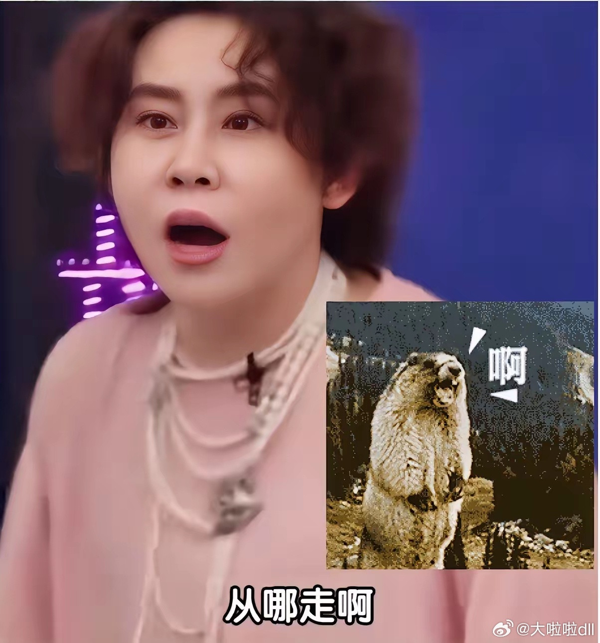 我有一种预感！今年的“浪姐”要大爆了不是因为曾沛慈的回忆杀，而是王濛这个“魔丸