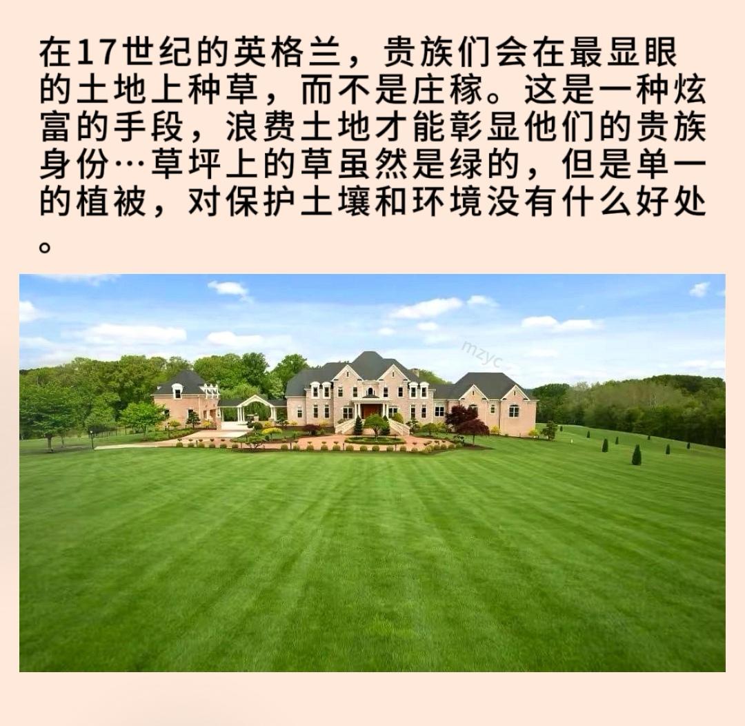 在17世纪的英格兰，贵族们会在最显眼的土地上种草，而不是庄稼。