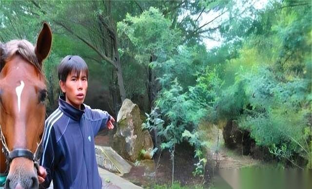 云南有个叫“惊马槽”的山谷，活物进去就得疯。真事儿。村民把马牵到谷口，马就跟钉