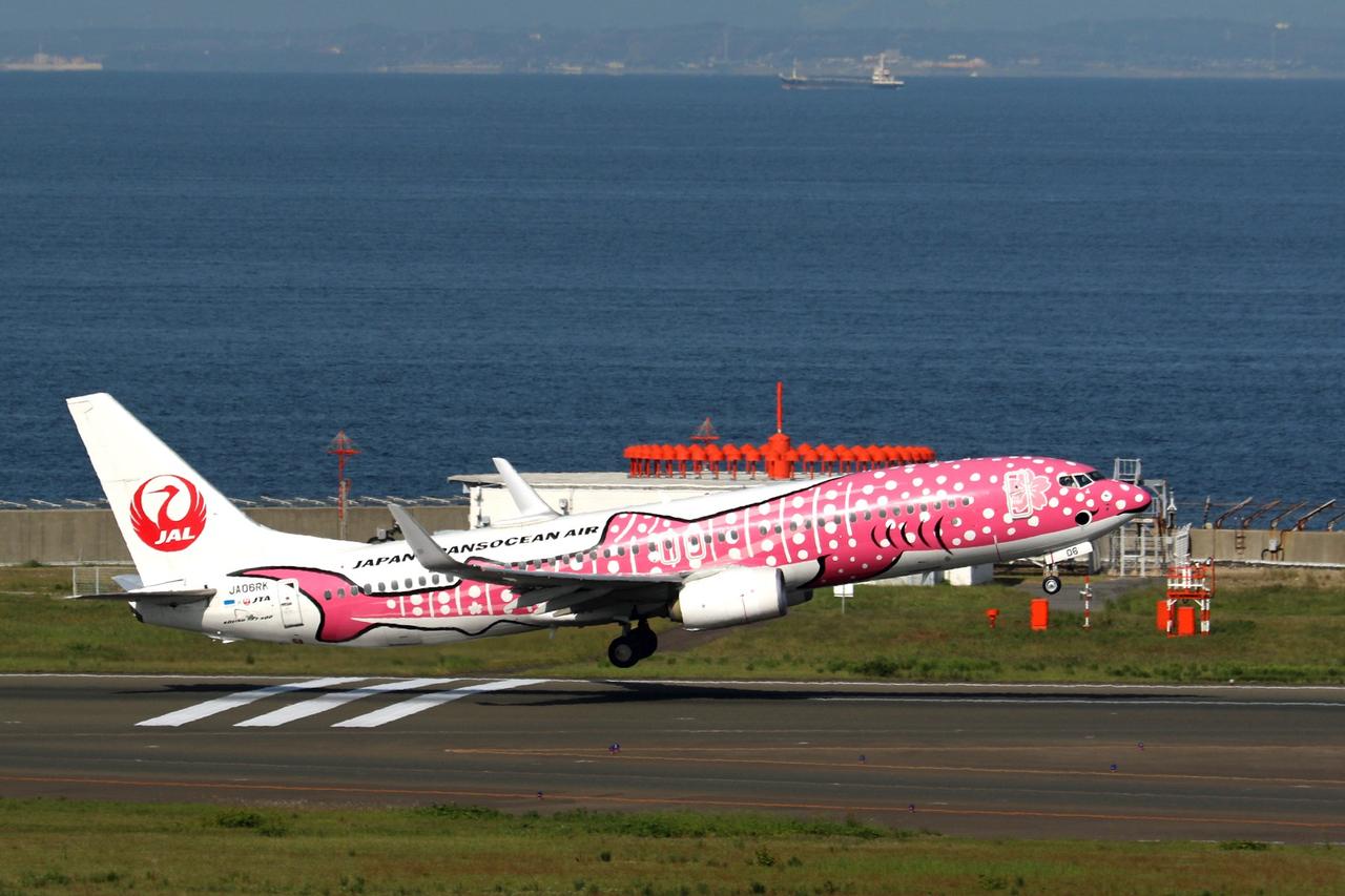 有网友建议，我们可以参考俄罗斯的做法，不允许日本民航飞机过境中国领空。如此一来，