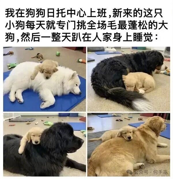 社交能力MAX搞得我都想躺一躺了！​​​