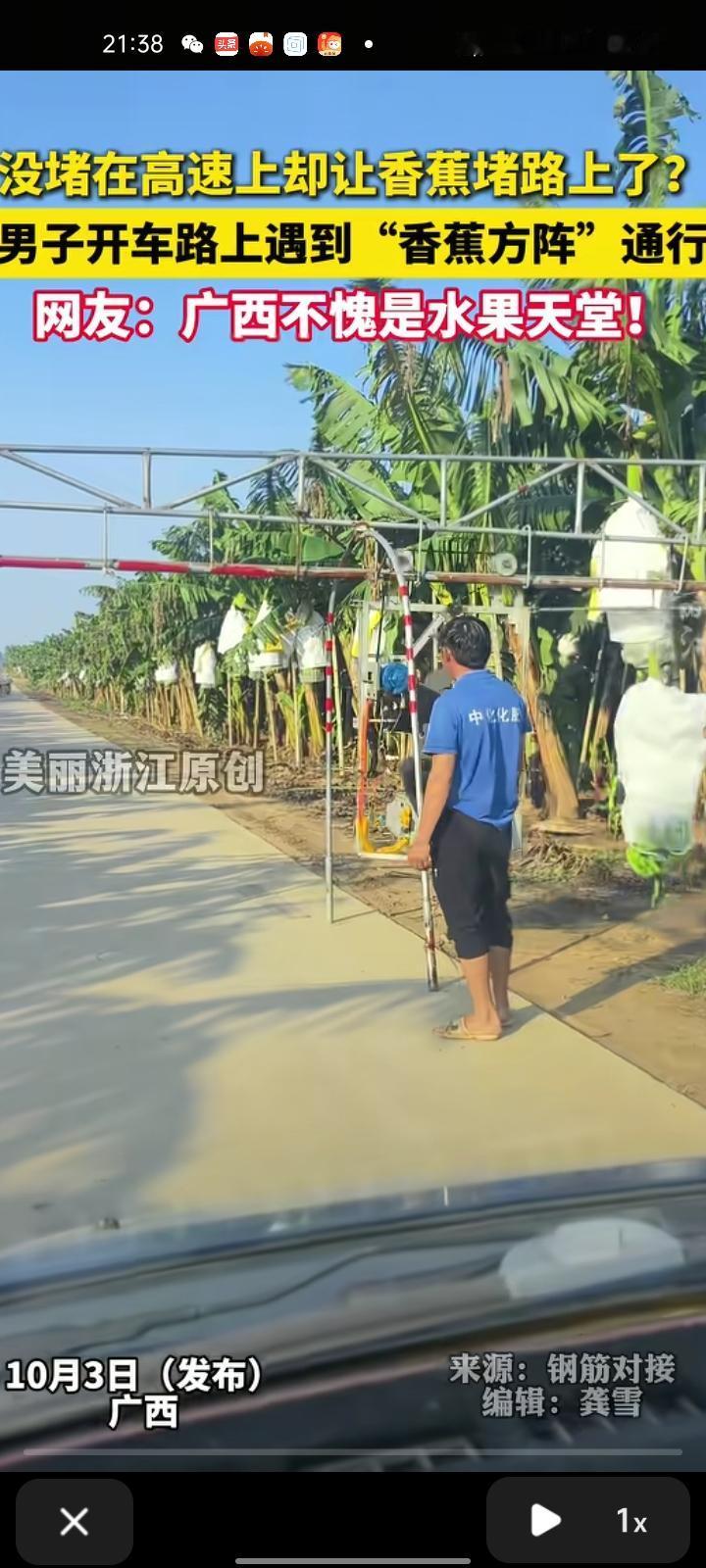 10月3日，北海市合浦县。男子发视频表示，自己开车途中遇到“香蕉方阵”通行，感觉