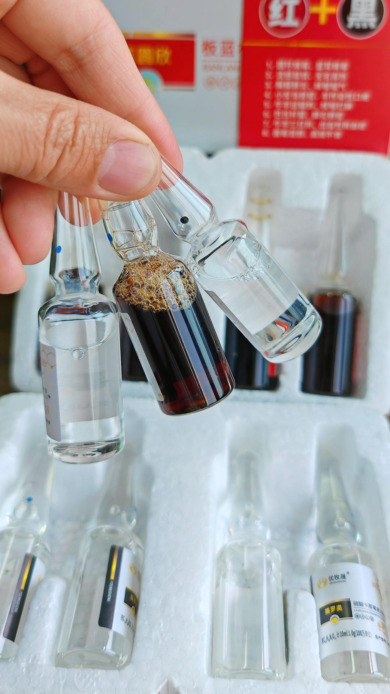 养羊人农村养羊牛羊养殖