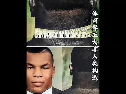 盘点体育界五大非人类构造，这就是他们能成为体育界各种王者的原因