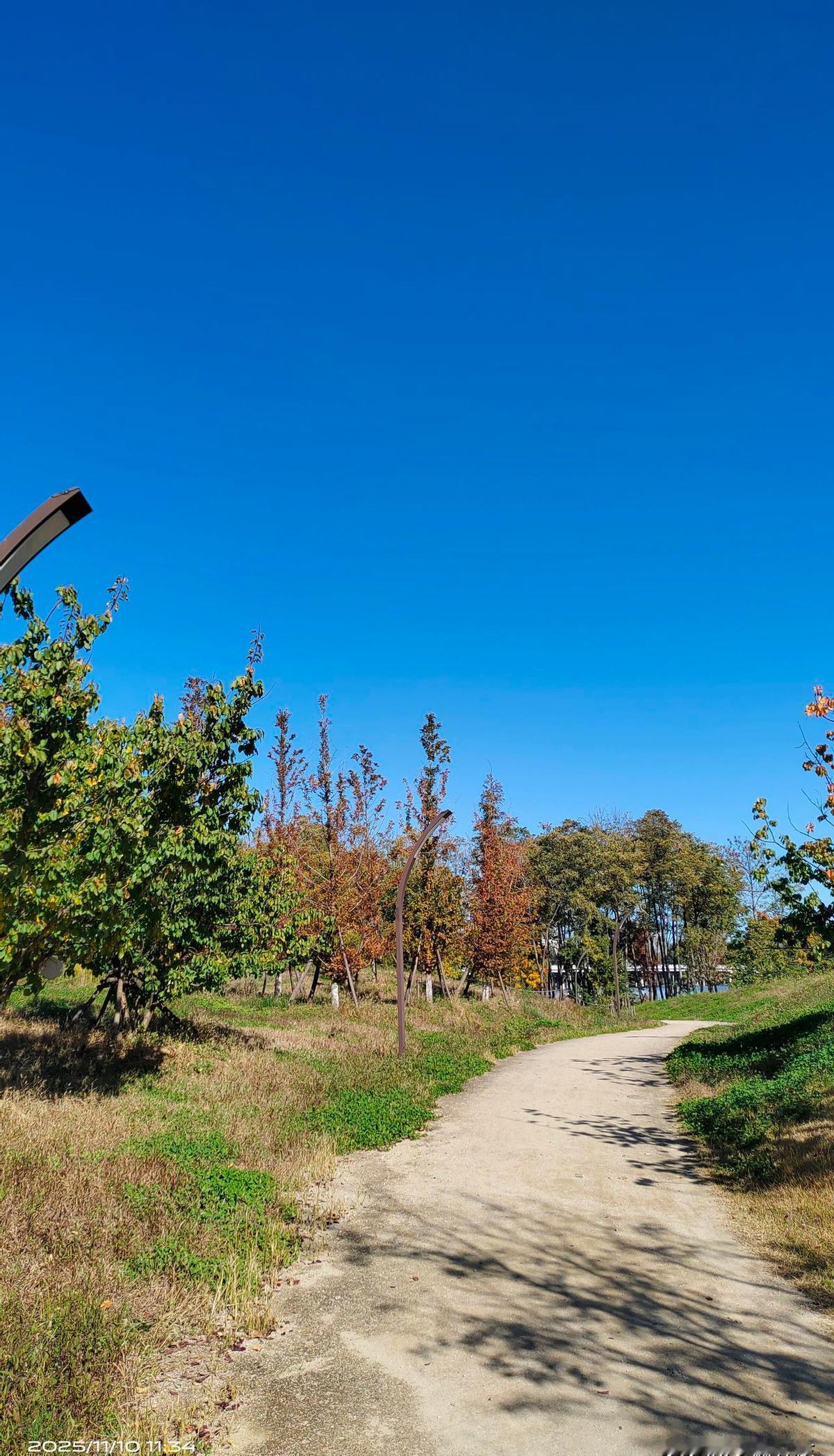 半夜找厕所，跑断腿也找不到，一急就醒了——不是你胆小，是膀胱在喊救命。睡前一杯