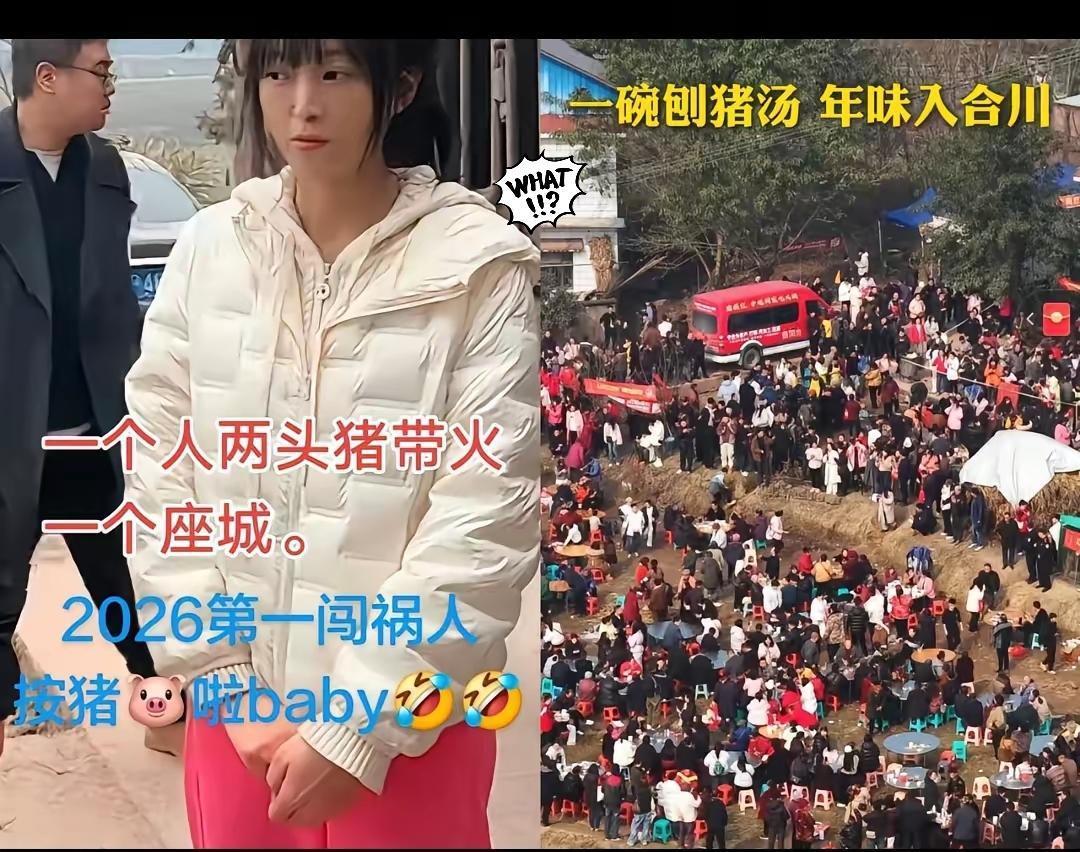 惊掉下巴！合川呆呆三天杀猪宴狂赚400万？这哪是“命好”，分明是摸到了流量密