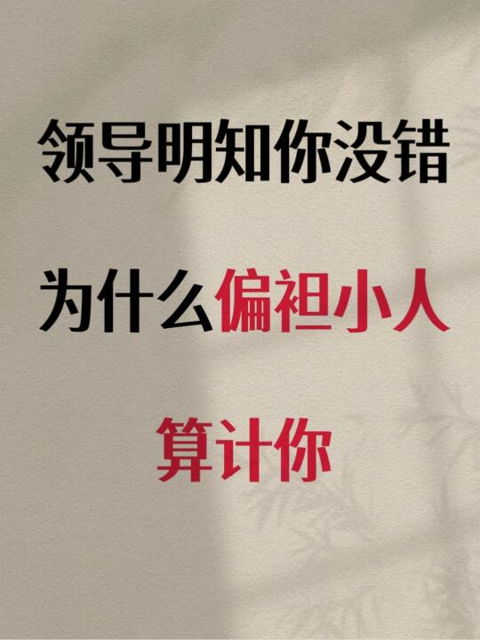 领导明知你没错，为什么偏袒小人算计你❓