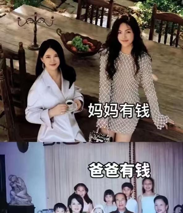 果然还是得妈妈有钱。网友说的话都对。毕竟是看戏的人，看的最清。你看看人家王
