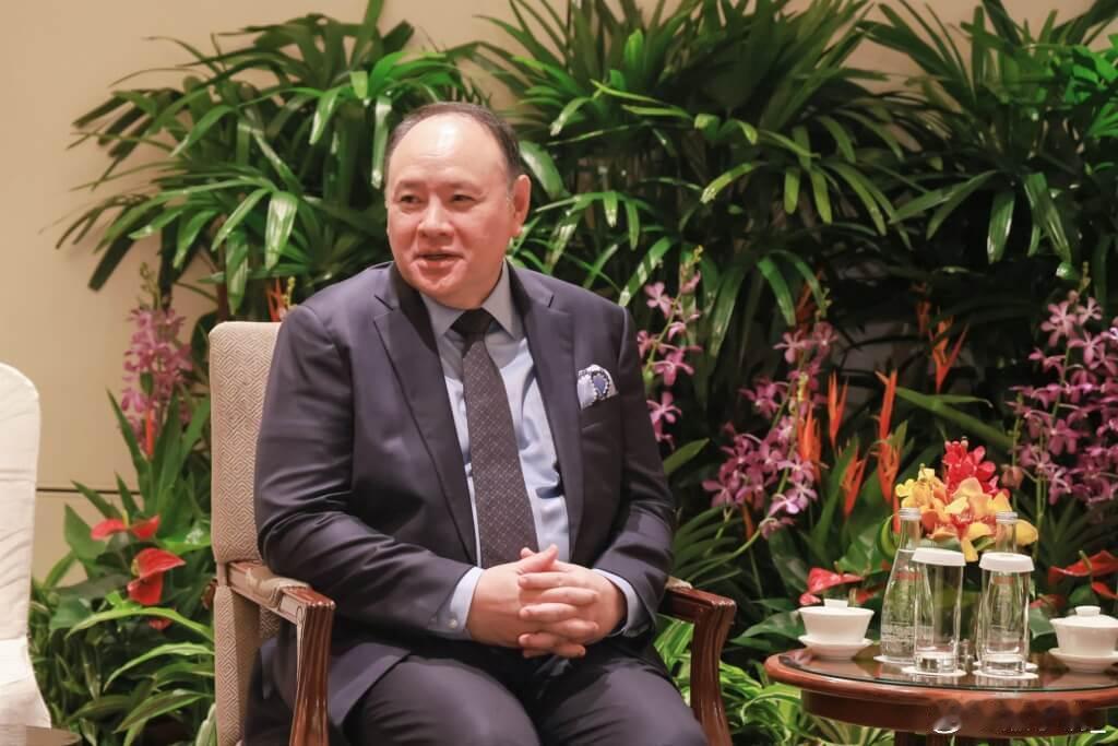 菲律宾国防部长特奥多罗在香格里拉对话会称，作为战略的一部分，尽管菲律宾维持“一个