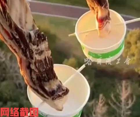 浙江舟山有男子在自家阳台上晒腊肉。只是男子在腊肉下面还放置了一个纸碗，还用筷