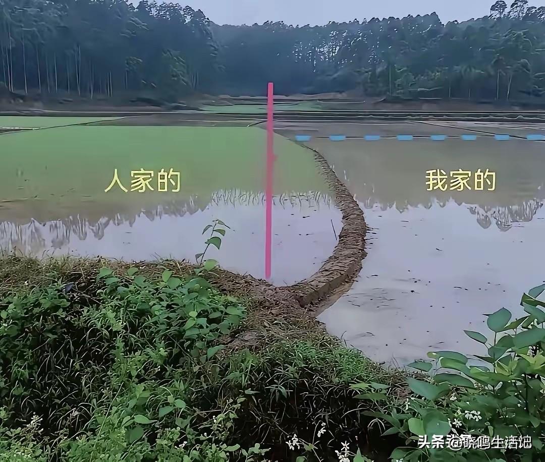 换着是你，你会怎么处理？