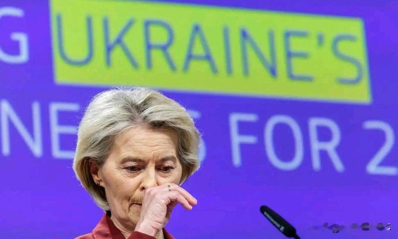 最近，布鲁塞尔可谓乱作一团，所有人都惊觉局势已天翻地覆——中国，不再如以往那般围