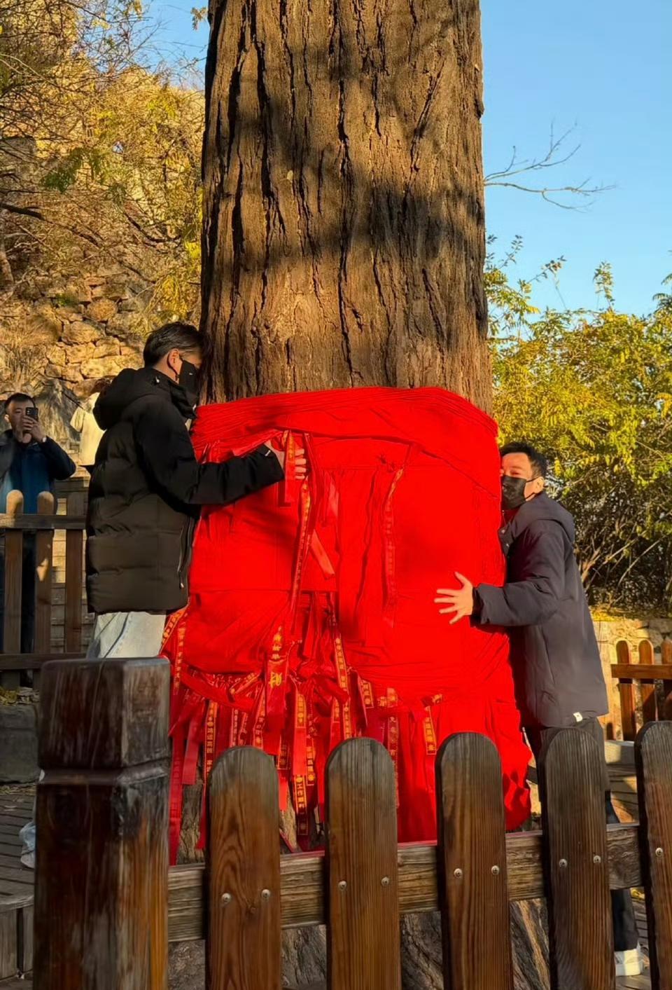 朱媛媛走了，辛柏青带着她的念想去了大孤山。第二次再去，人没垮，眼神亮了点。李