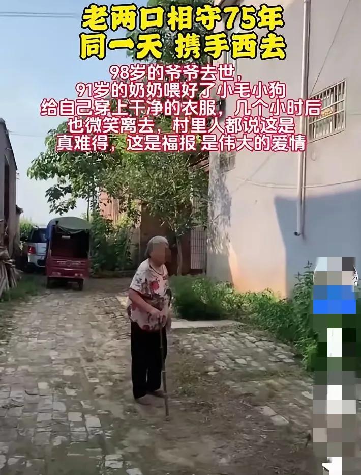 98岁的爷爷清晨安详离世，91岁的奶奶没有哭泣，平静地喂饱家中的猫狗，换上