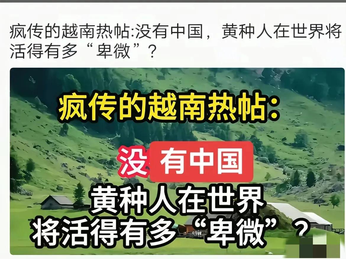 一越南icon网友说，本来以为对高市的错误言论，只是会引起中国国内网友的激烈反应