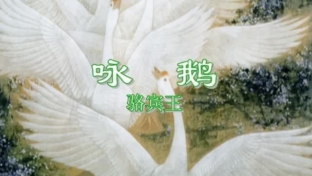 9144835416523812280.jpg?id=0