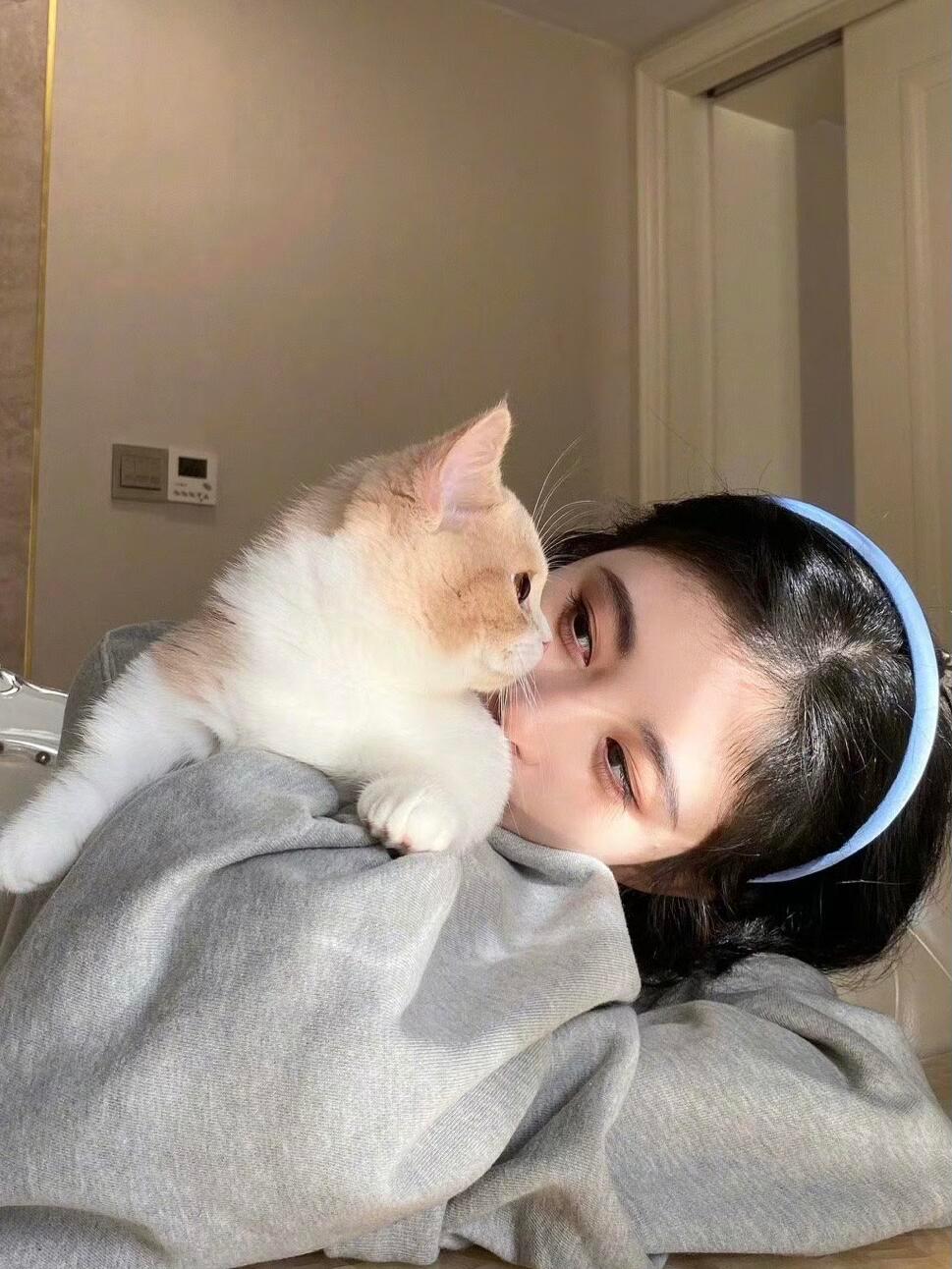 鞠婧祎晒她的猫🐾宿主苏绿夏拍戏太投入，系统喵来催她下班