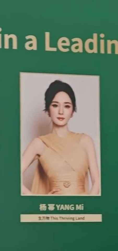杨幂白玉兰晚宴提名者照片墙，好美的女王
