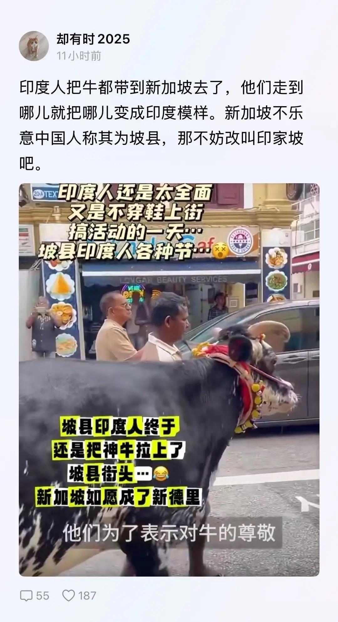 “印家坡”，新加坡的印度人是不是越来越多了，以后再去新加坡旅游，会不会满大街都是