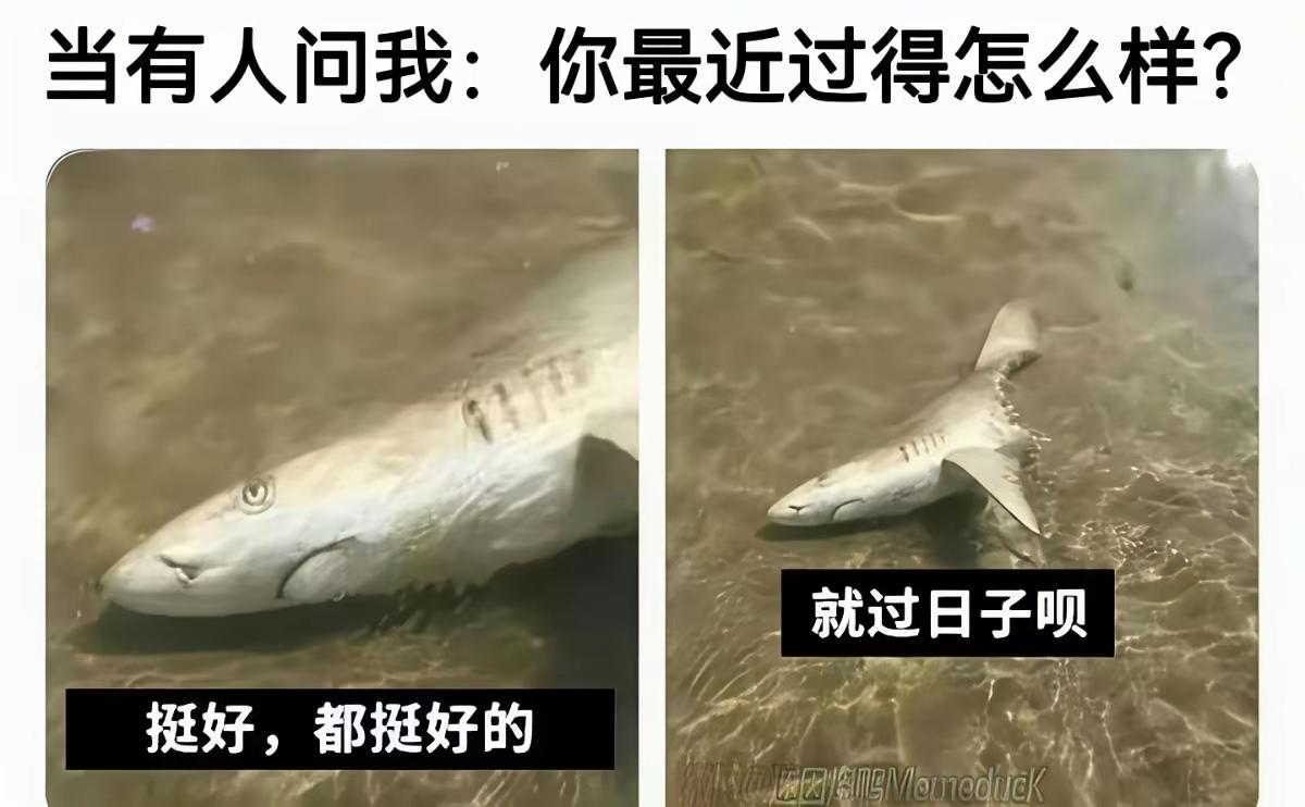 好家伙，这也太惨了吧[捂脸哭]