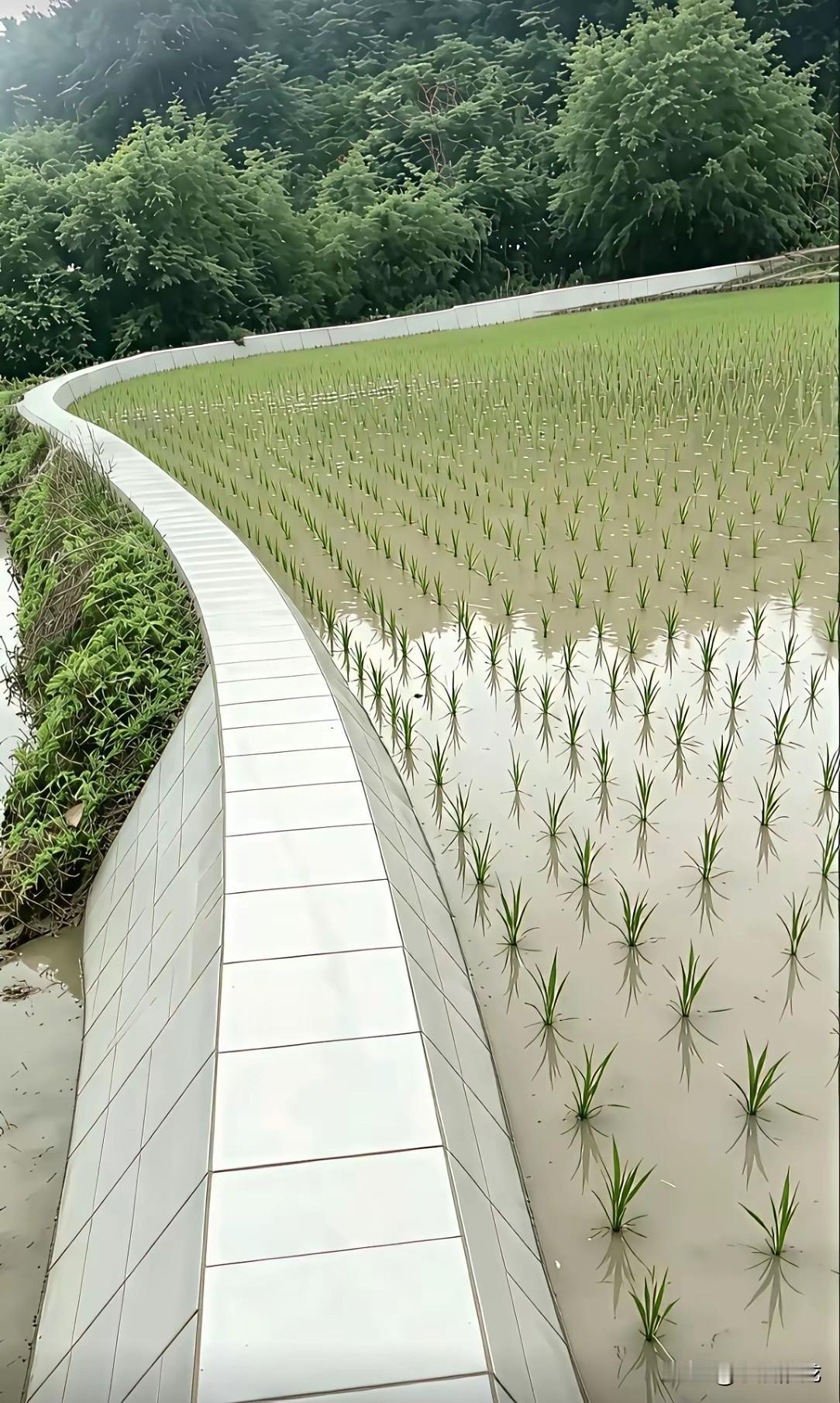 一退休官员到乡村旅游，由于做官久了，退休后还没有放下身份，遂印了名片：上面名誉会