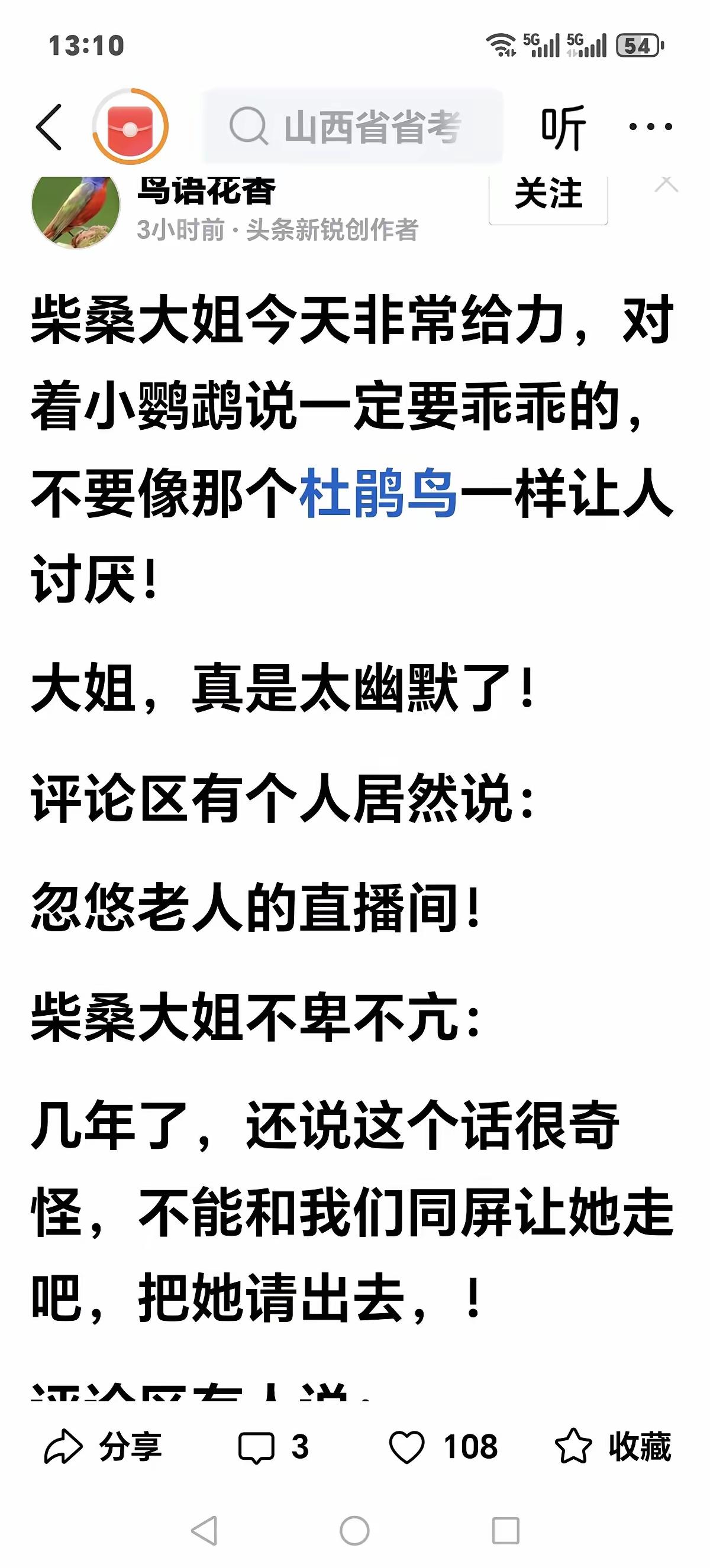 二八换子事件，许敏追查真相。这条追真路，已经六年了。柴桑大姐陪伴许敏追真，在网上