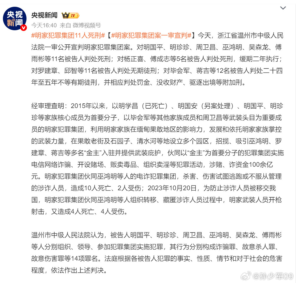 伙同以“金主”为首要分子的犯罪集团实施电信网络诈骗、开设赌场、贩卖毒品、组织卖淫