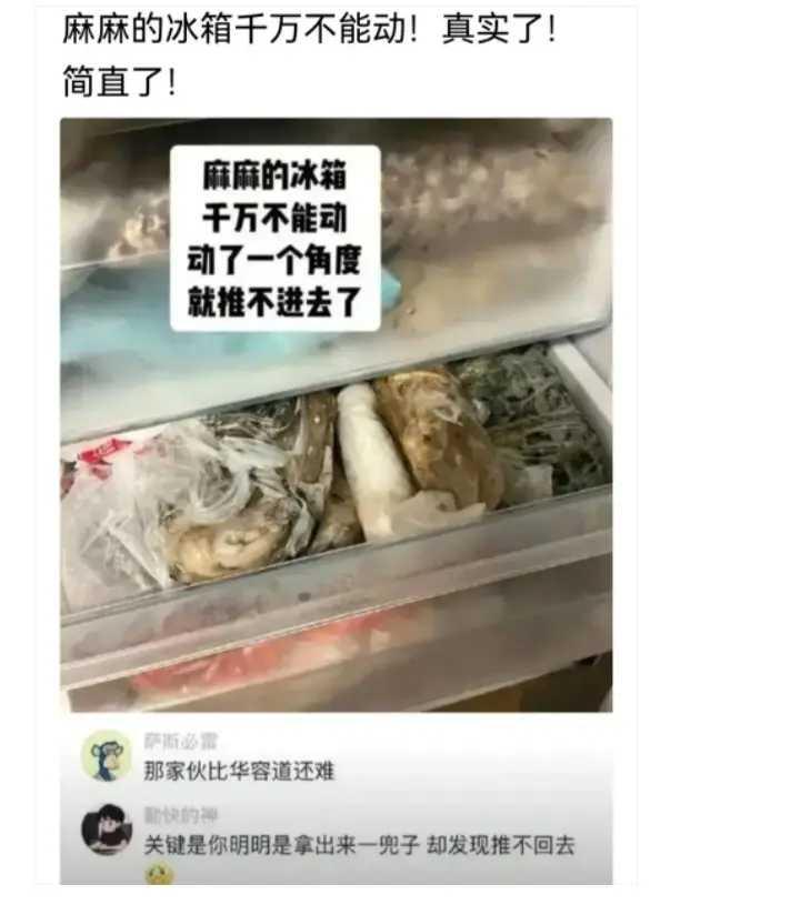 妈妈的冰箱千万不能动，真实了