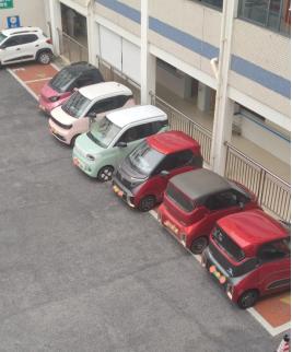 楼下每天都会看到一堆剁椒鱼头，都是一群小姐姐在开，我们科室也有两个妹子买了。一开