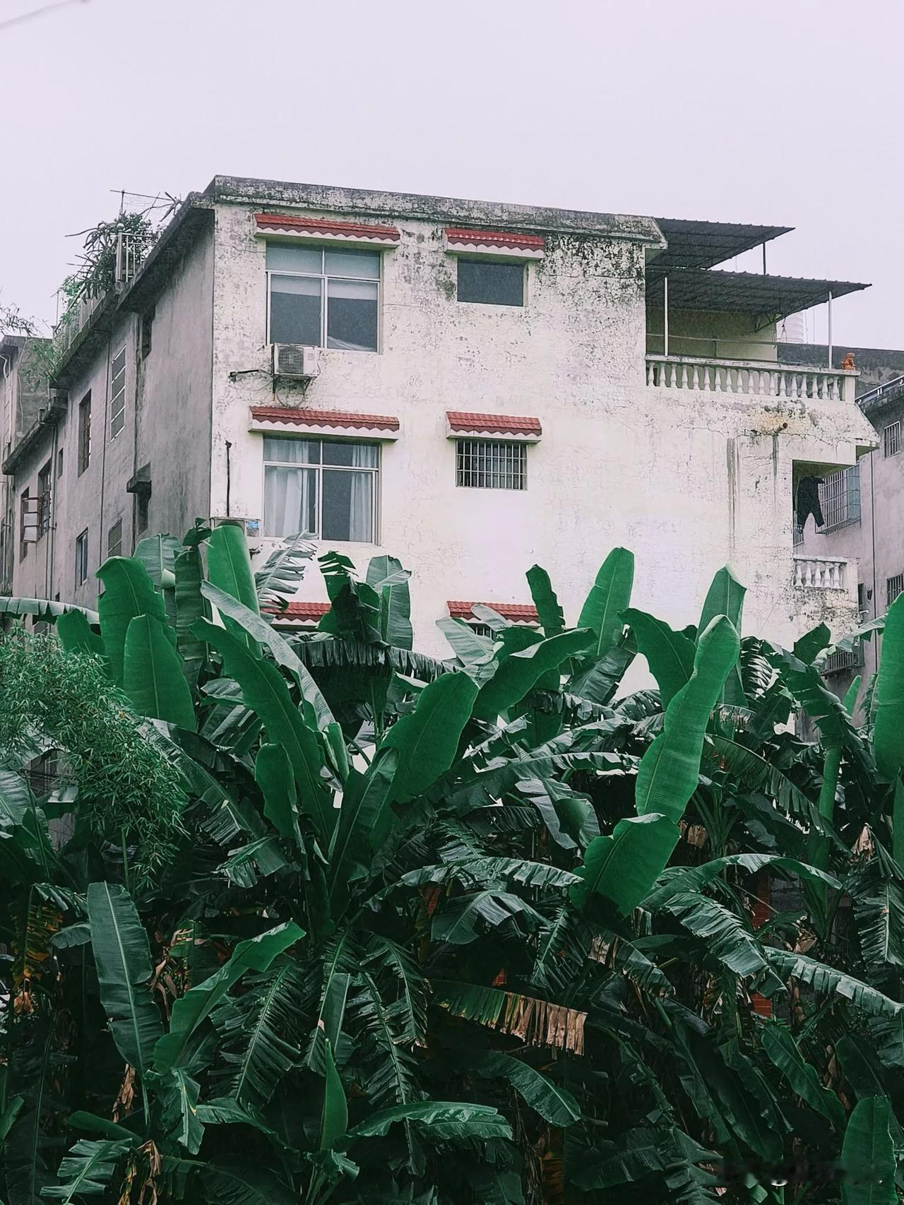 学驾照时,你认为科目几最难?考驾照时，不同科目难度因人而异。对初学者来说，科目