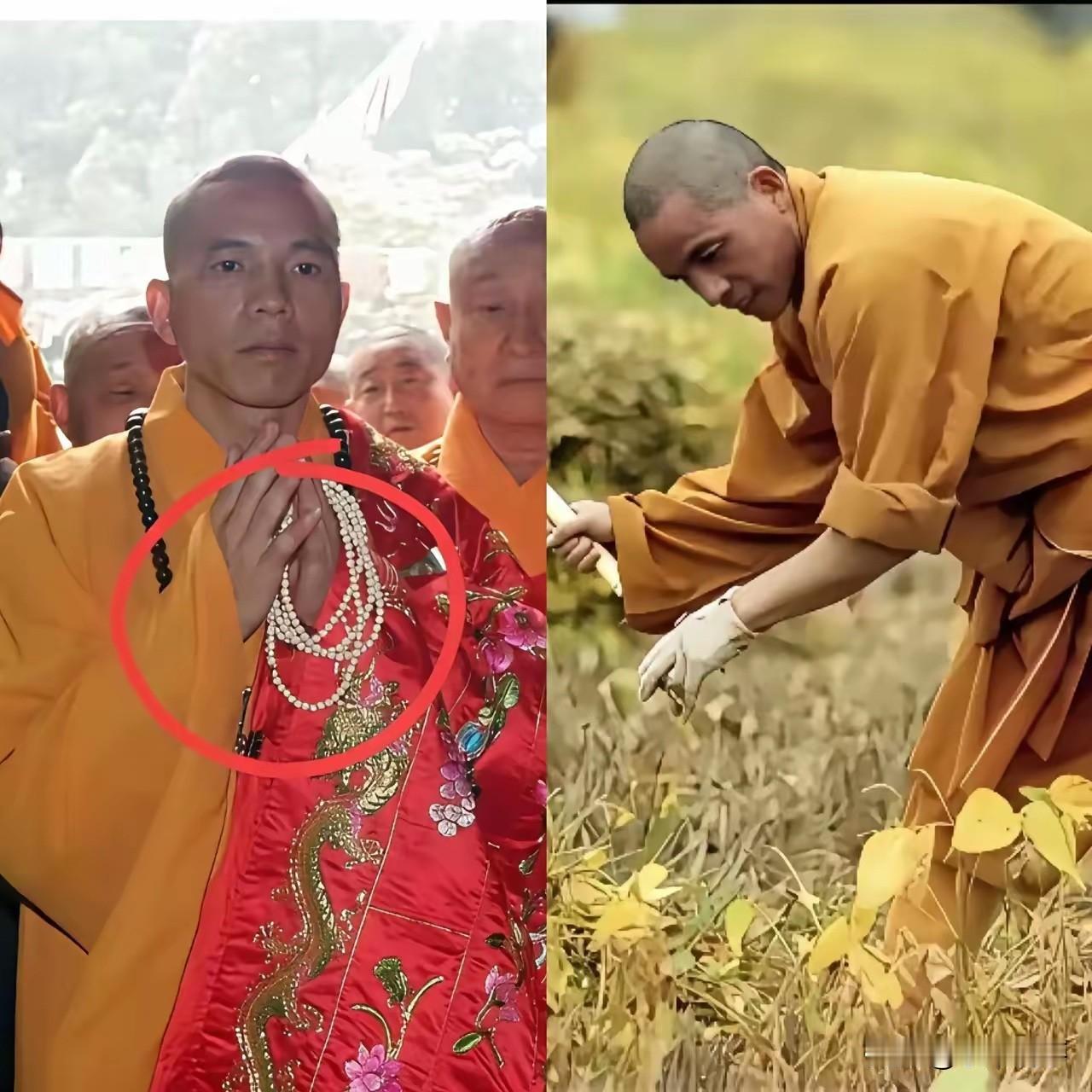 按照印乐法师这个操作，估计不出三年，少林寺的和尚就会跑掉一半以上，因为他现在实行