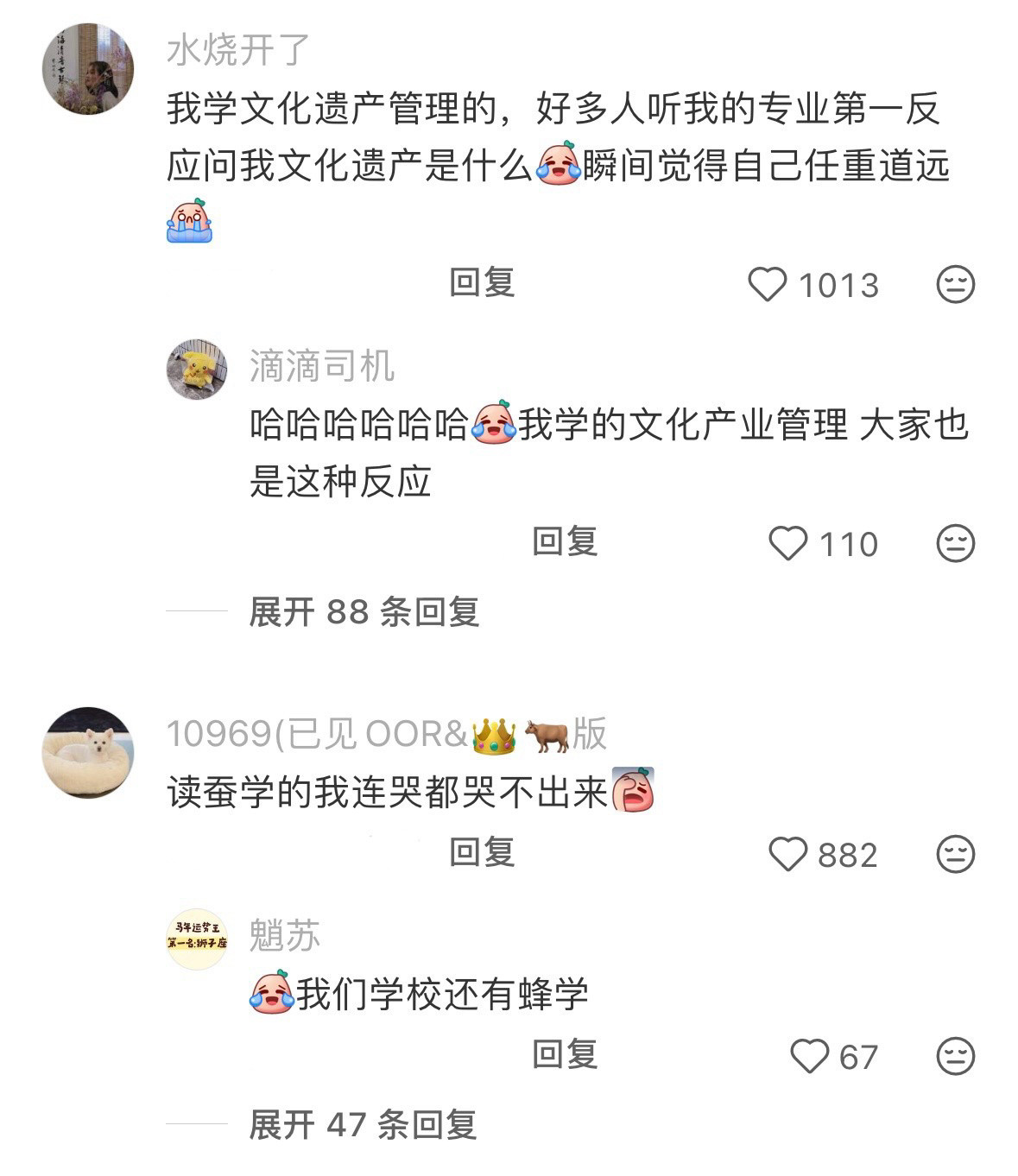 麻烦下次不要读这么冷门的专业了