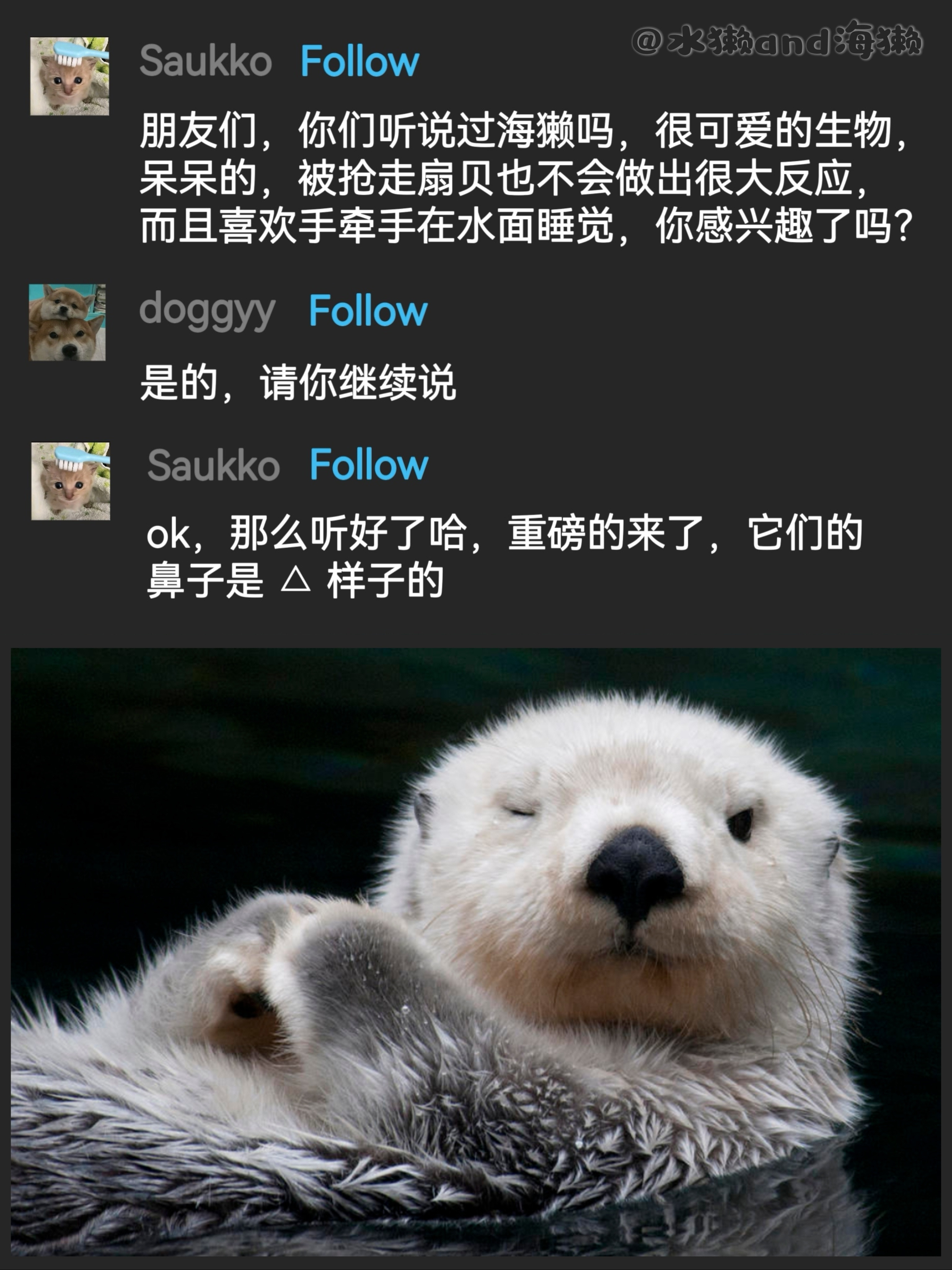 (՞˶╸▲╺˶՞)海獭meme