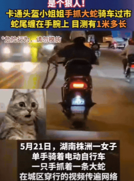 “这女人强得可怕！”湖南株洲，小姐姐下班骑车回家，结果，刚上路就看到一条大蛇，目