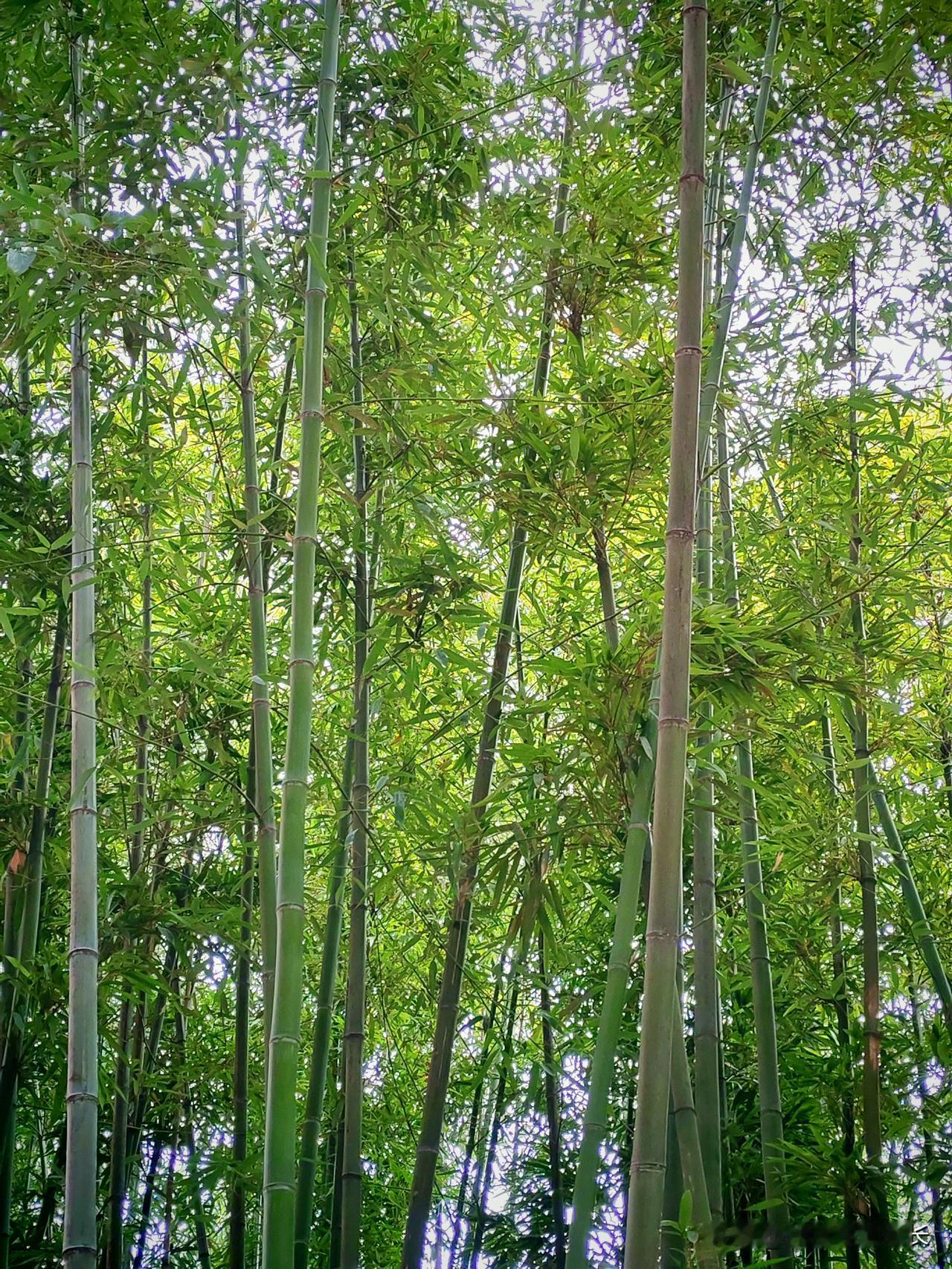 人老了才彻底醒悟（句句扎心）1. 老伴再好，遇事也有靠不住的时候，手里有钱