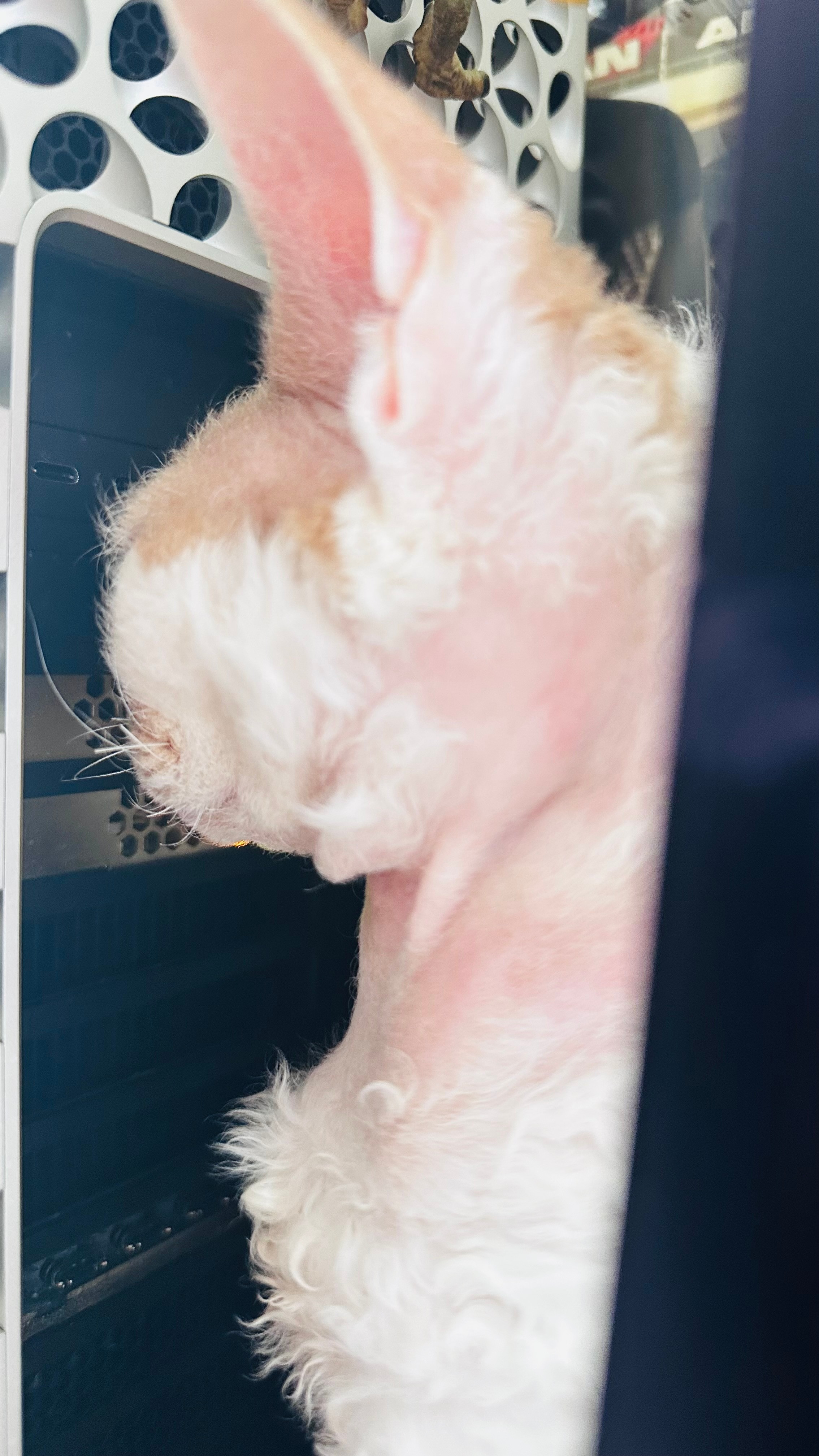 不是，这电脑里到底有啥宇宙能量啊，你也跟我说说，我也吸收一下。