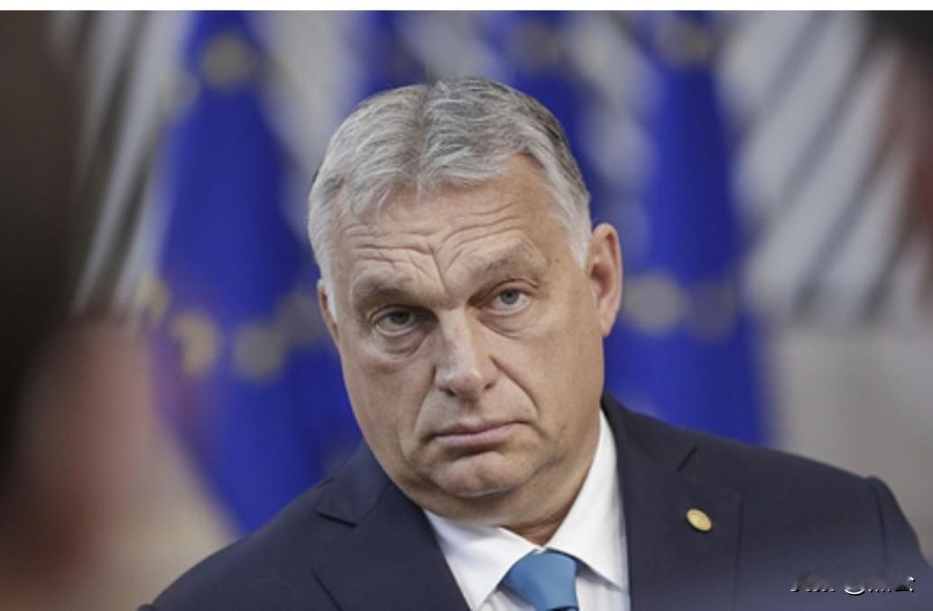 硬碰硬！泽连斯基再怎么骂也没用，匈牙利：乌克兰入欧，绝不让步据塔斯社2月1