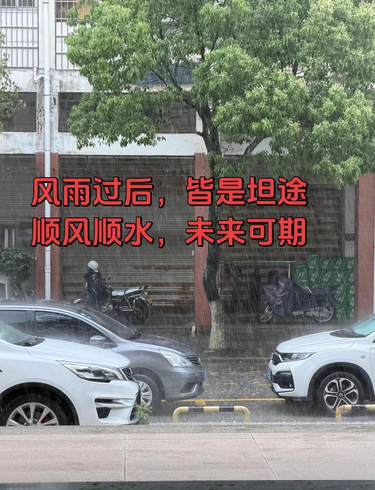 暴雨⛈雨下的那么认真我的城市下雨了
