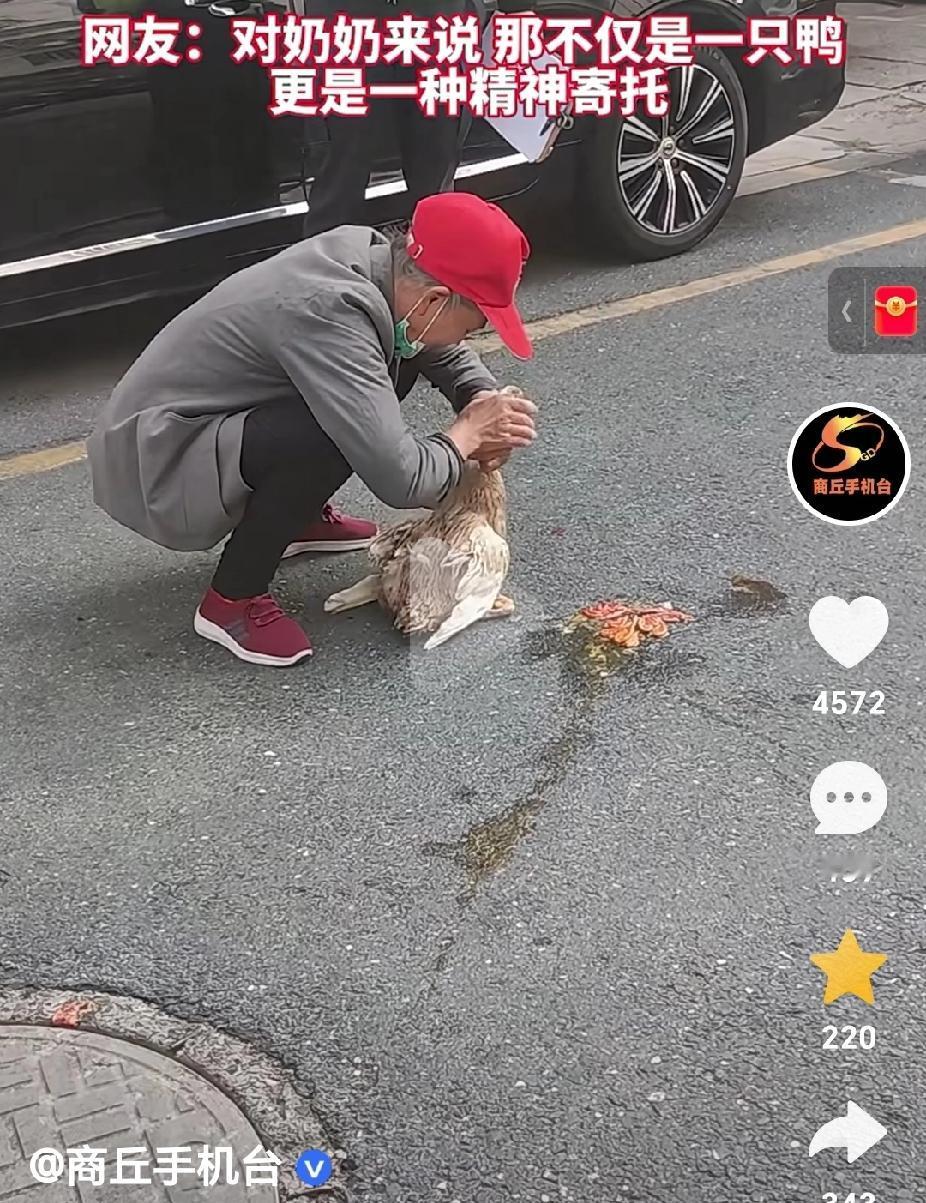 鸭子死了，老人抱着怀里的鸭子痛哭不已！有人说，不就是只鸭子吗？至于吗？这不是