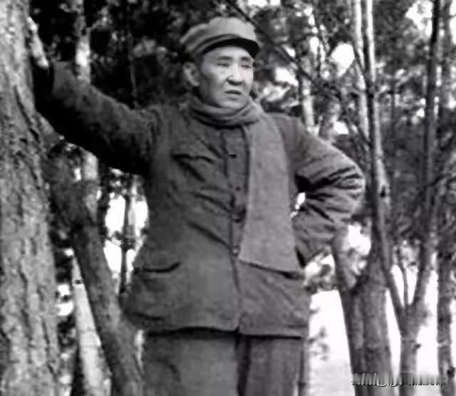 1955年主动脱军装无衔，1958年重返部队，毛主席一句话敲定：至少是上将