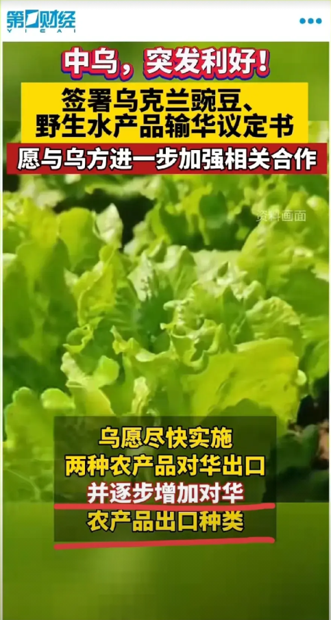 中乌签署粮食水产进口协议！签字的那一刻乌克兰人心里五味杂陈！到底谁才真能帮助乌克