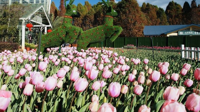 🔥美到封神！昆明捞鱼河，春天直接被搬来了。昆明捞鱼河湿地公园刷屏朋友圈！百万郁