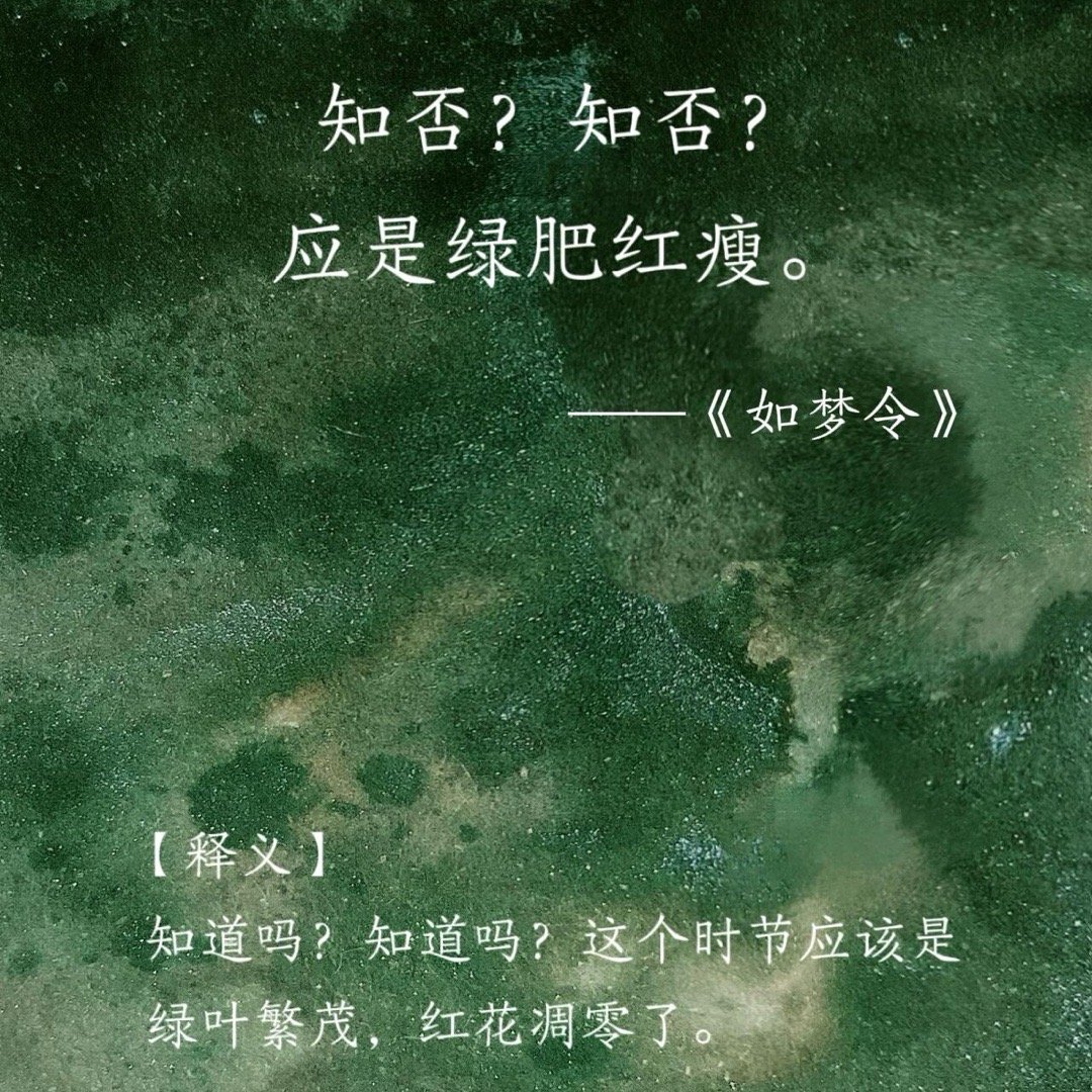 那些李清照笔下的千古绝句✨​​​