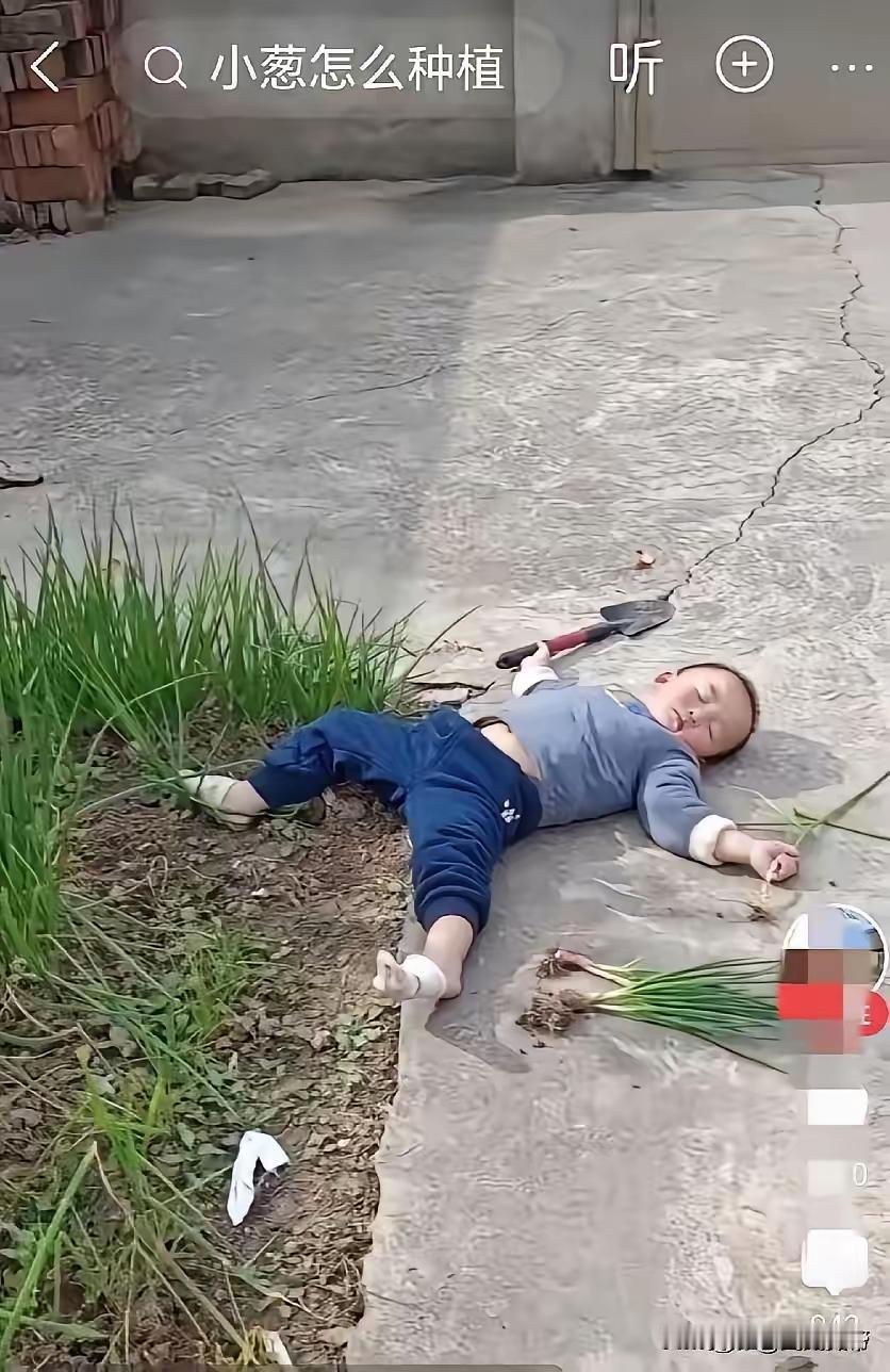 太心疼了！一奶奶做饭要拨水葱，孙子自告奋勇替奶奶去挖，结果饭都做熟了还不见孙子