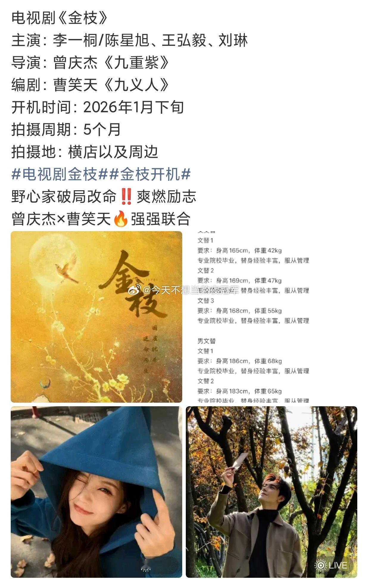 🍉🍉《金枝》李一桐/陈星旭、王弘毅、刘琳，1月底开机。班底不错，男女主应该确